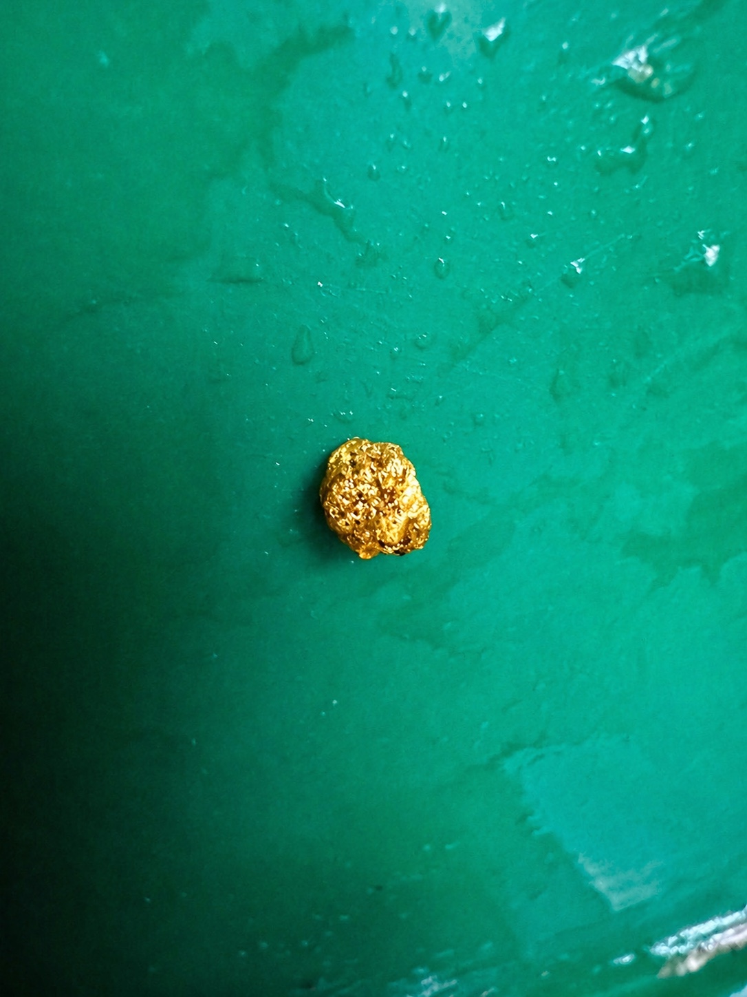 A small piece of recovered placer gold in a green pan