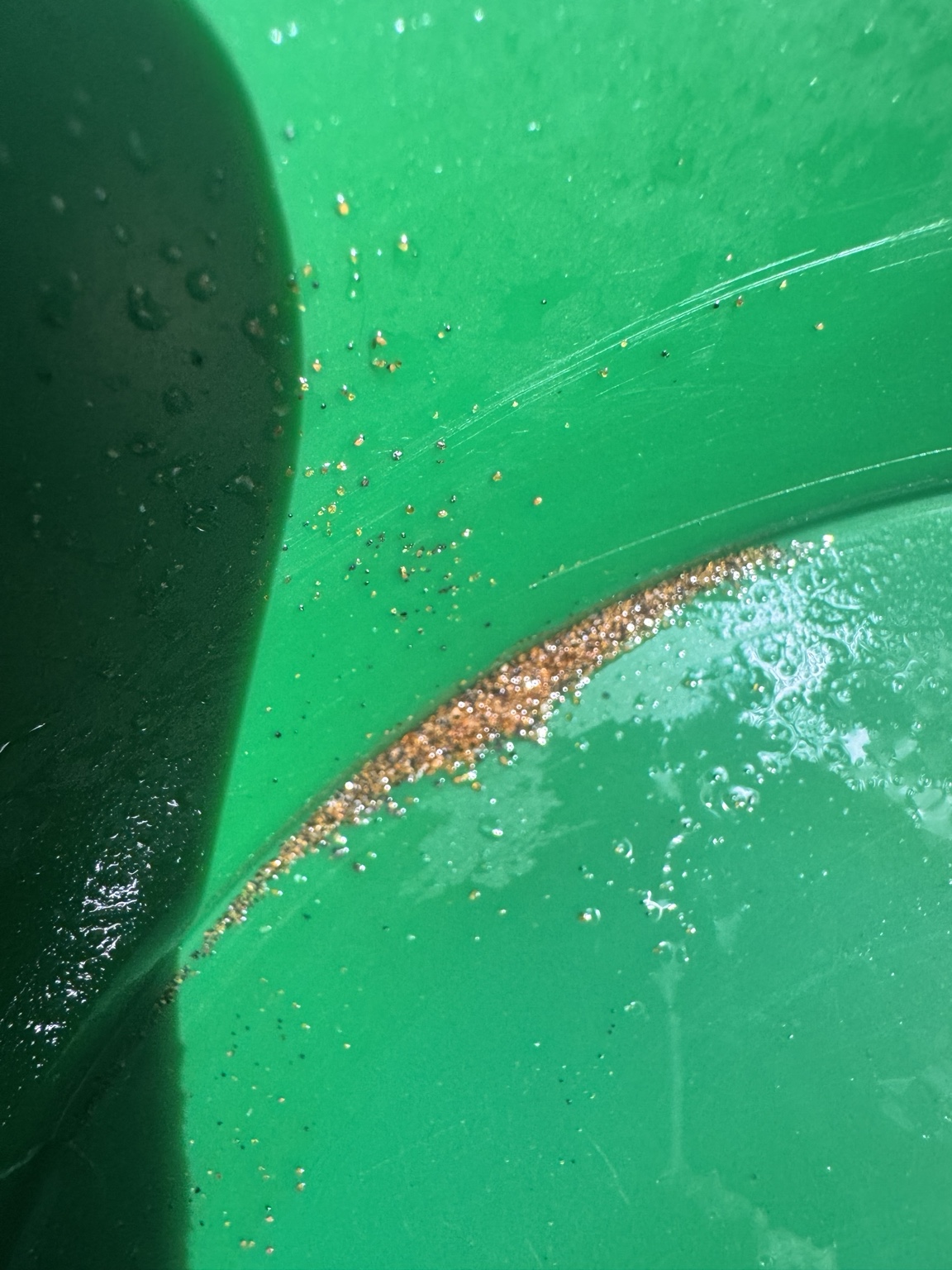 Fine gold flakes and dark sand settled in a green gold pan